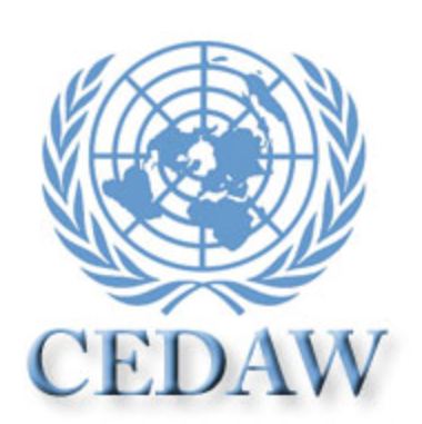 cedaw graphic