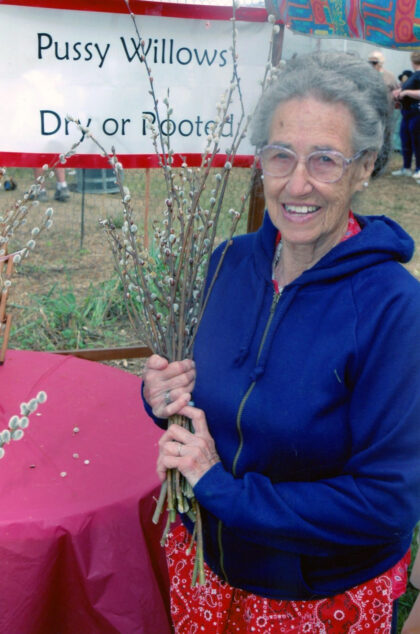 Ann Dorzback